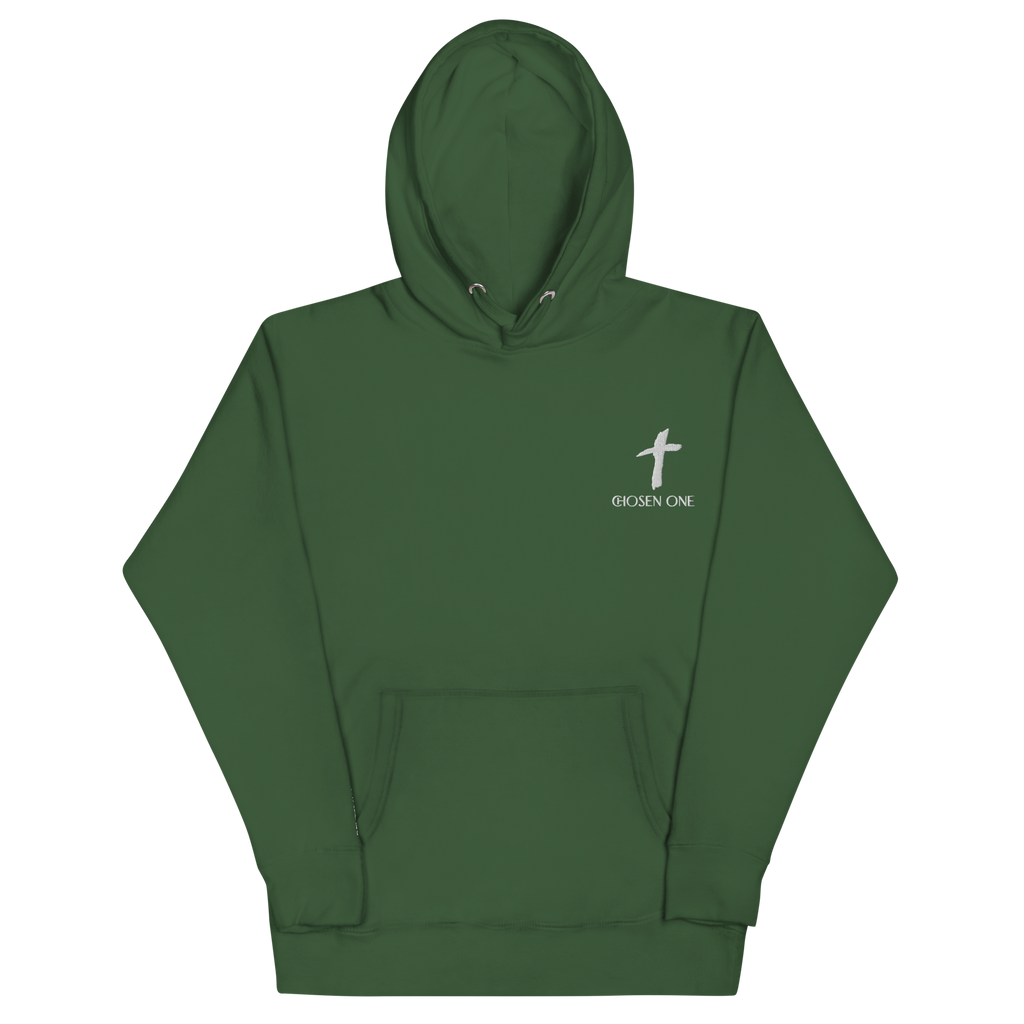 Jeremiah 29:11 Hoodie