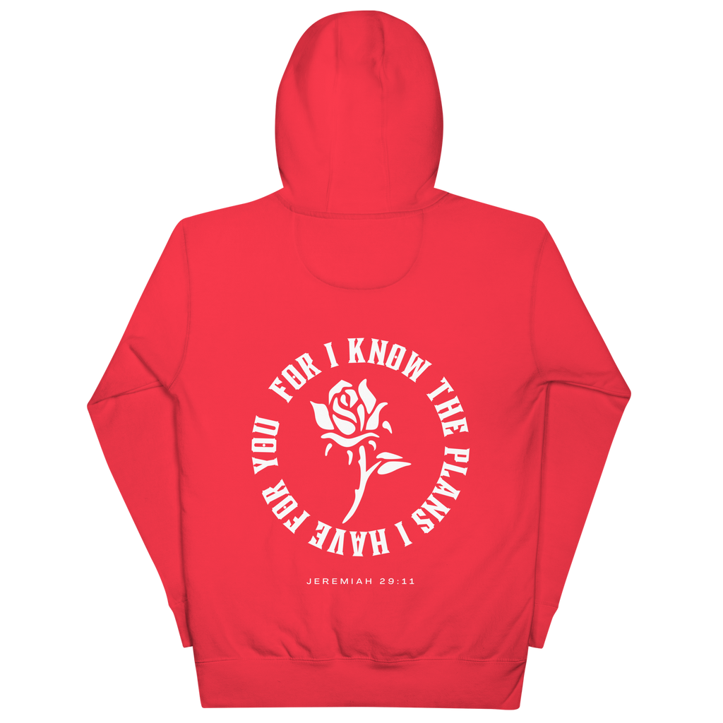 Jeremiah 29:11 Hoodie